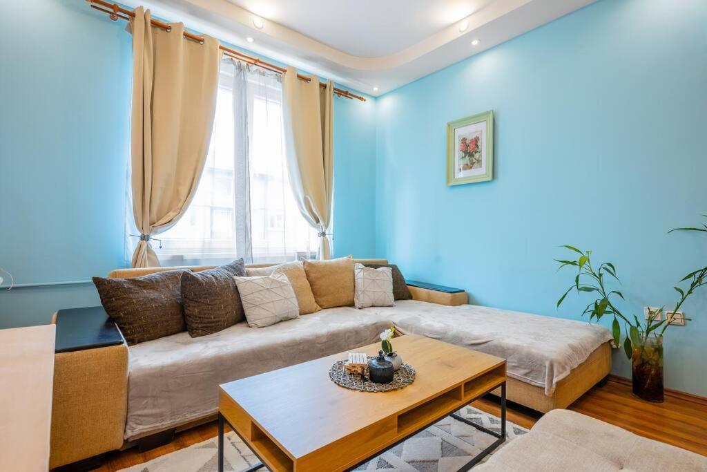 Spacious 3Bd Central Apartment Sofia Luaran gambar